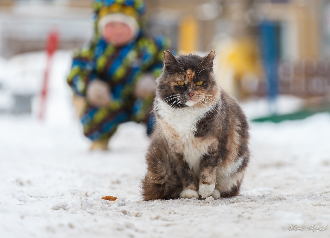 TFP 1100-900-7878.jpg