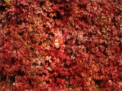 0a0518800f080112036a7067 (5).jpg