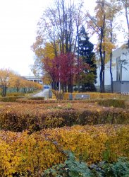 Без имени-2.jpg