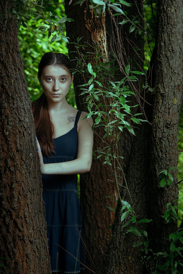 Голосов овраг