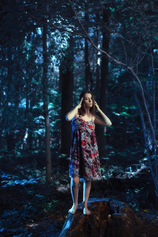 Лесные чащи в пределах МКАД