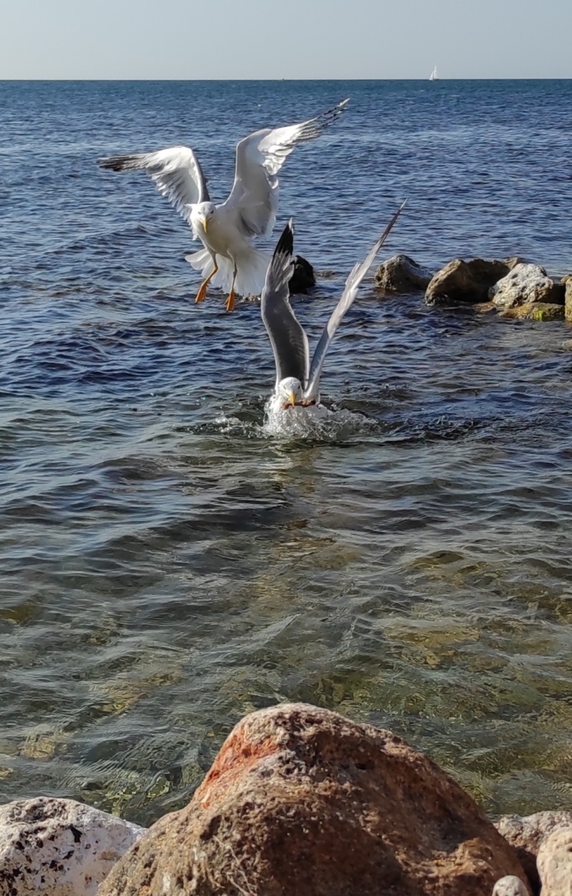 Севастополь 2021