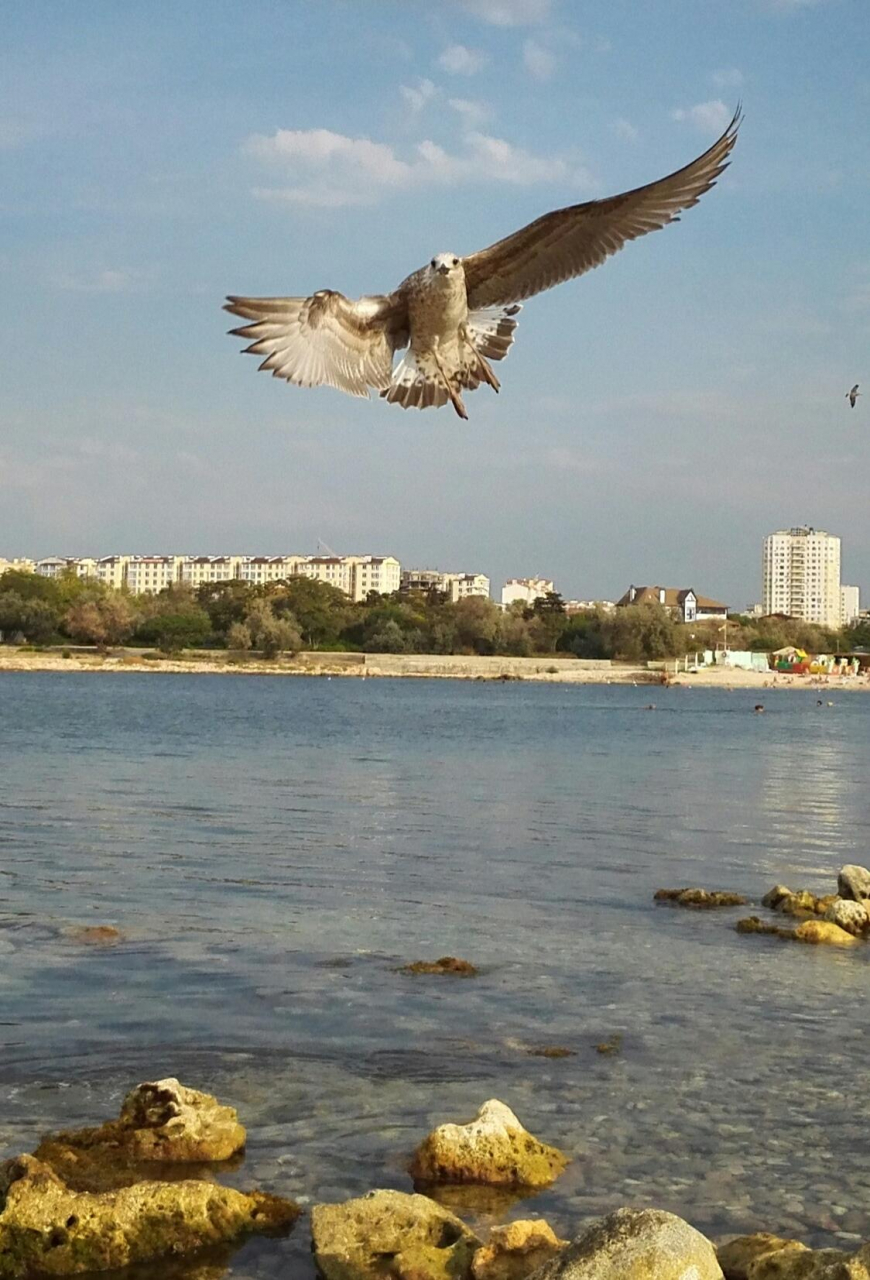 Севастополь