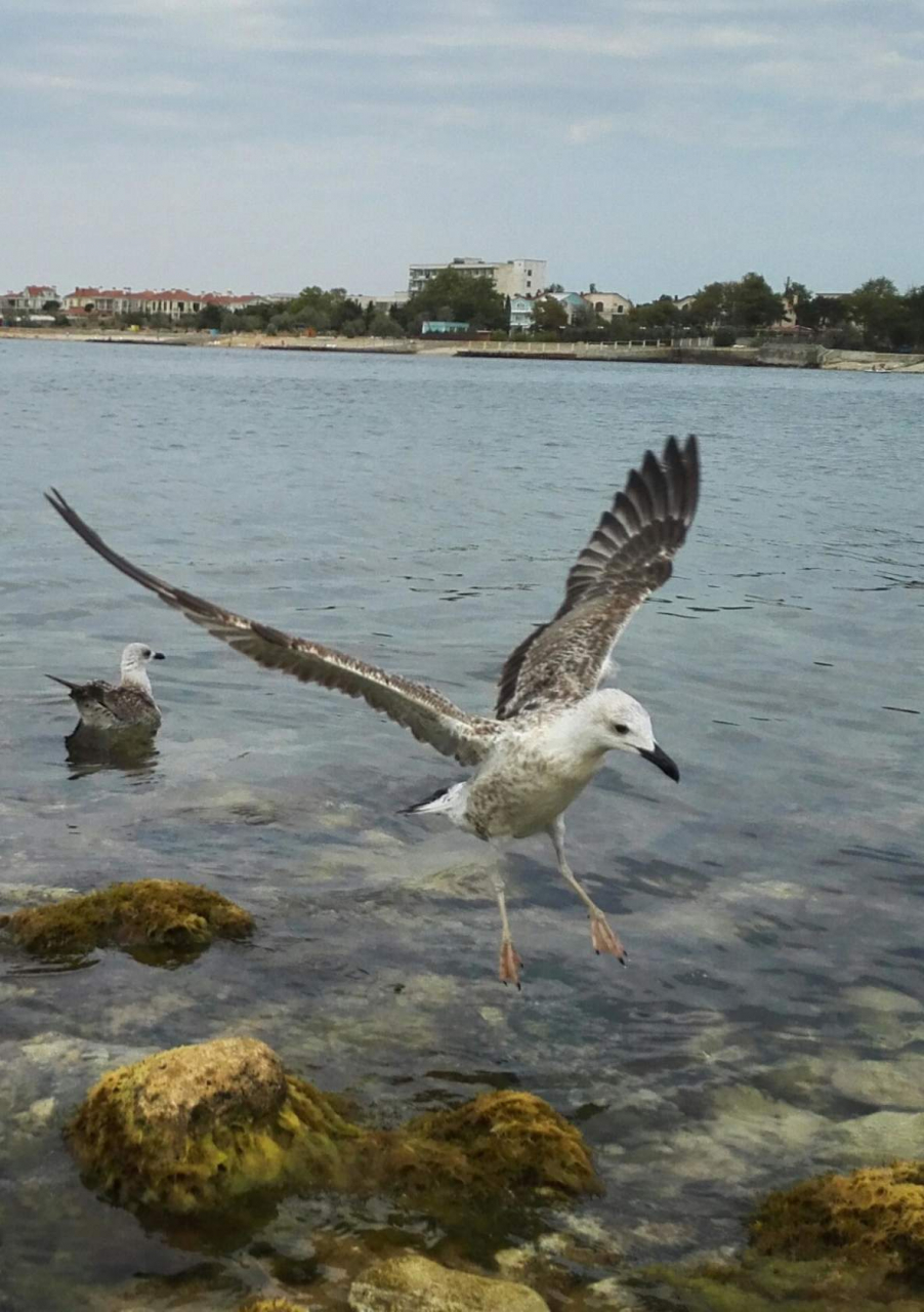 Севастополь