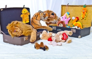 Чемоданы счастья