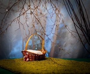 Таинственный лес