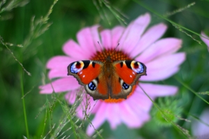 Как и обычно, без фильтров и обработок..