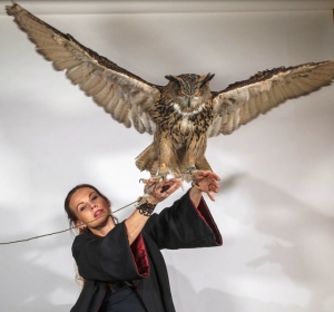 Неудачный исходник